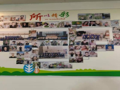 bbin视讯官方响应式多终端网页版面配置管理图片