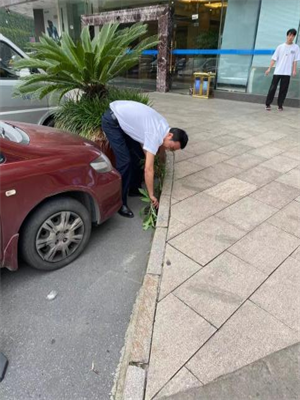 bbin视讯官方招商合作协议与全站代理商扶持计划图片